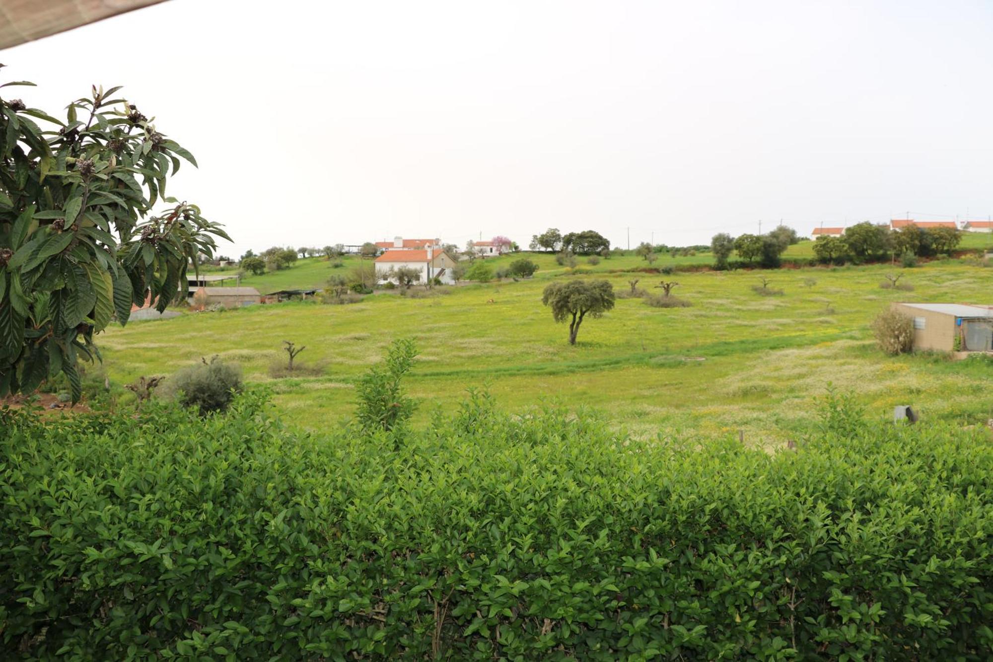 C M Casa De Mares Alojamento Local Casas Novas de Mares Exteriör bild